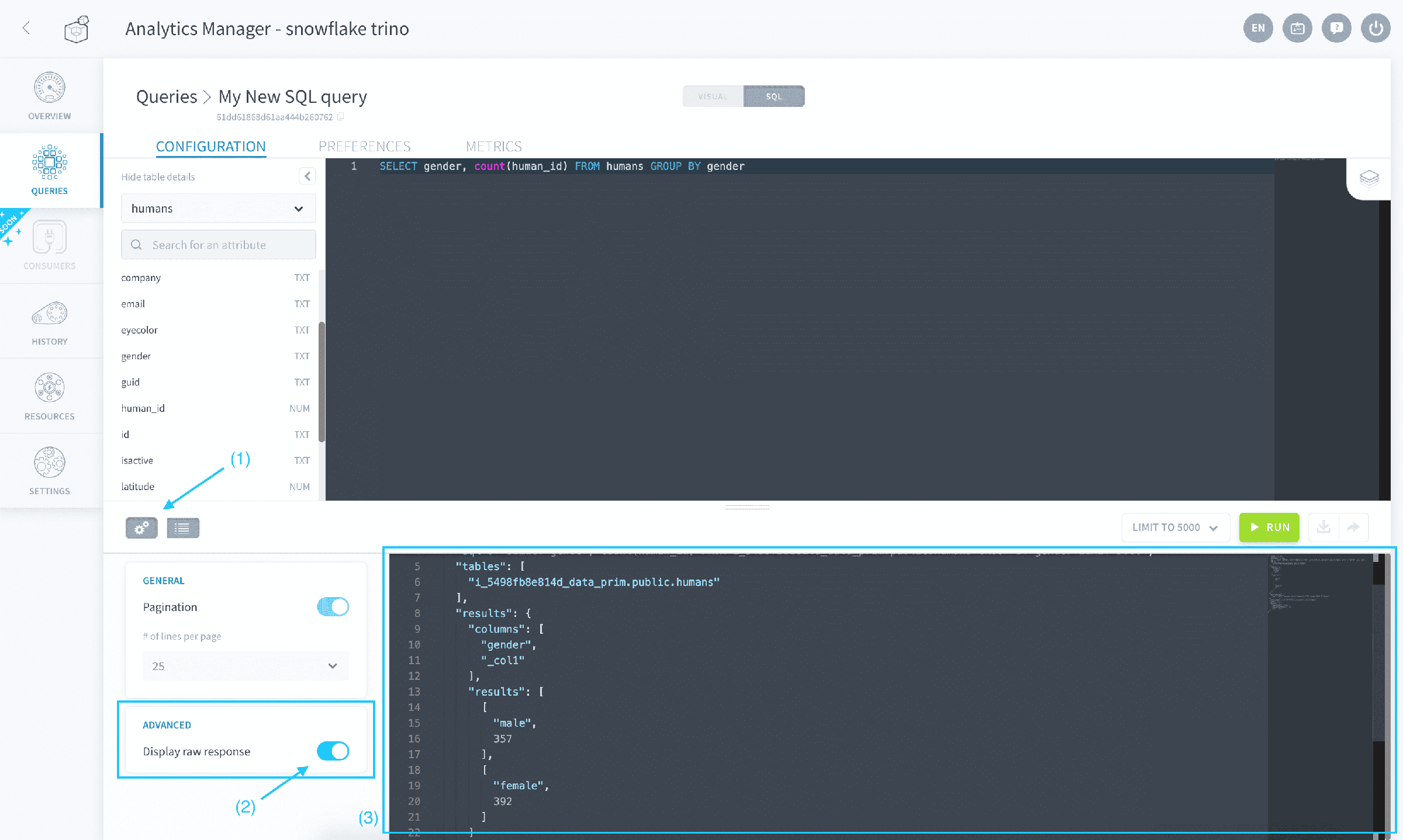 Discover the response format — Sql raw response
